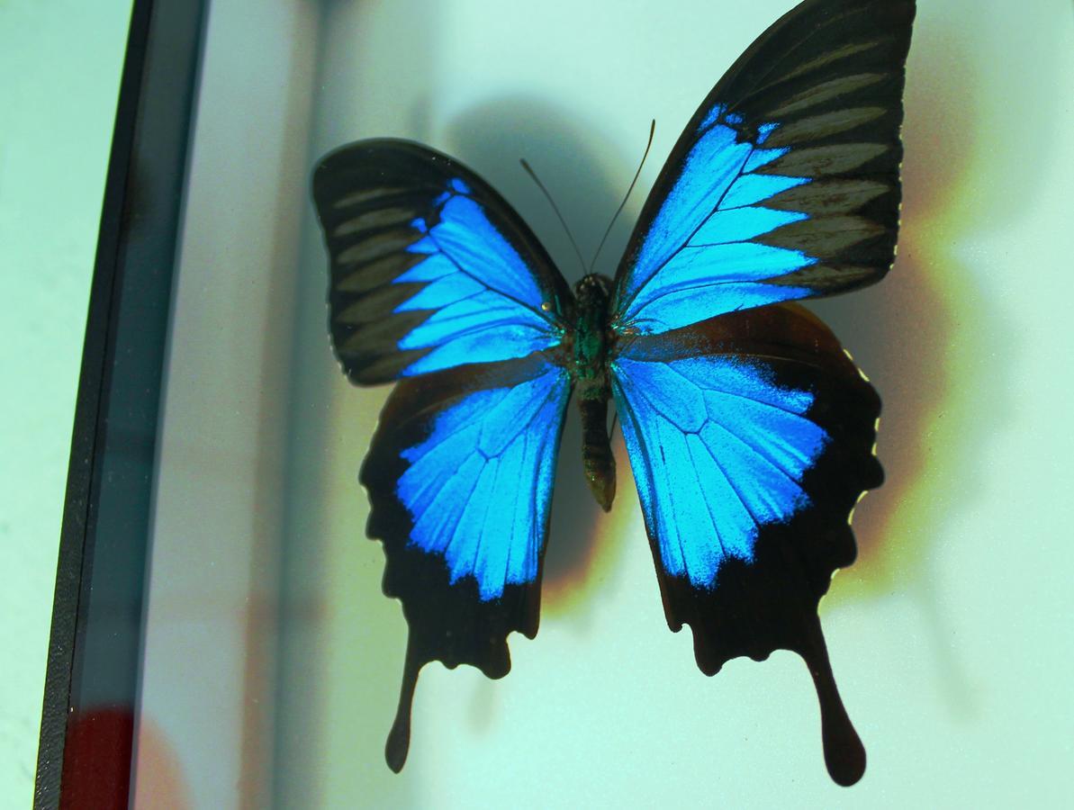 Le Mas Turquoise, B&B Spa-Color Inclus Bedarrides ภายนอก รูปภาพ
